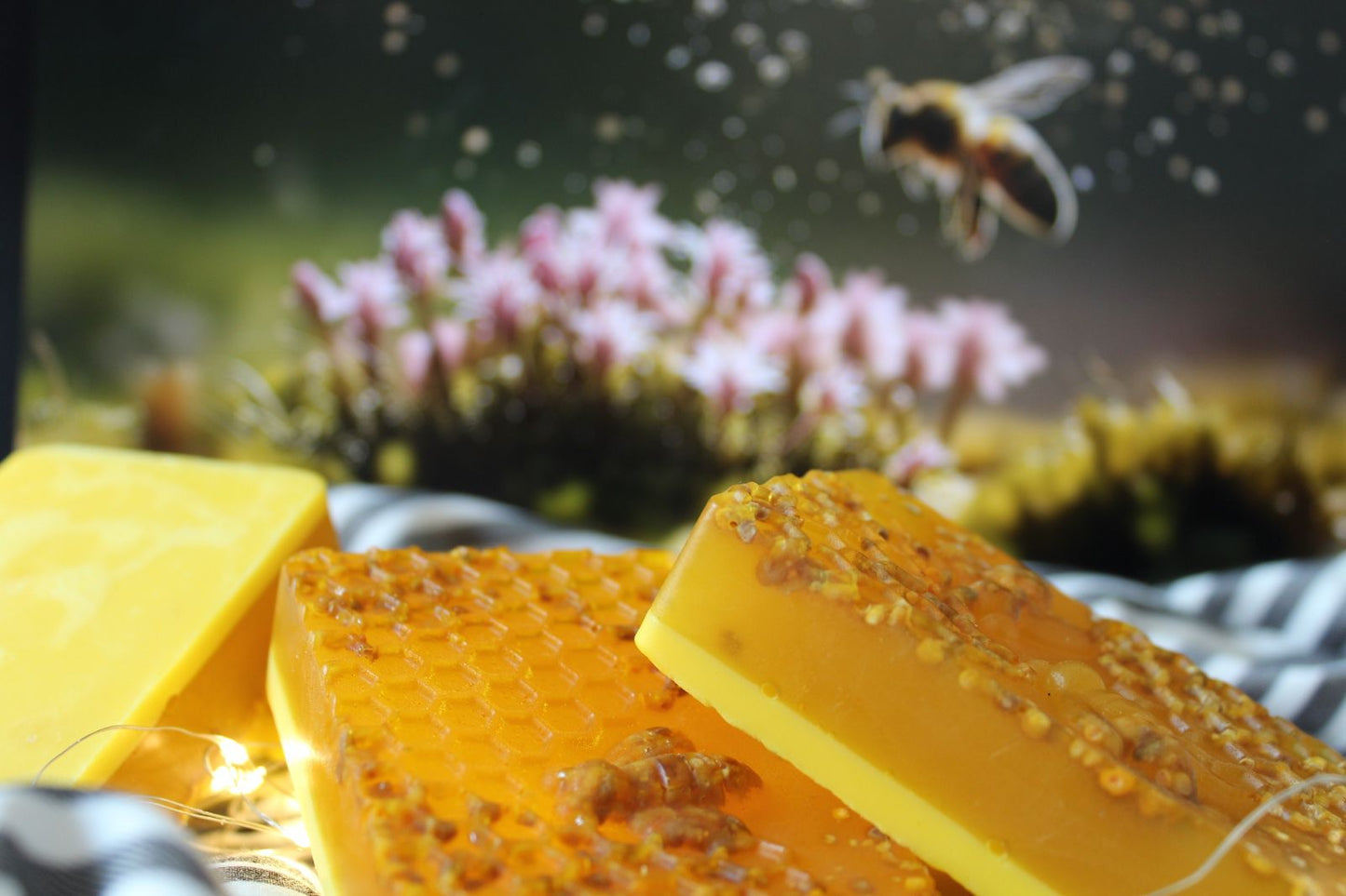 HoneyBee